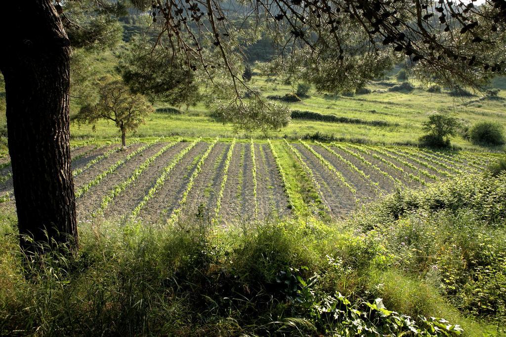 Lithies Farm Houses Vasilikí Dış mekan fotoğraf